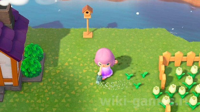 animal cross tsive 4