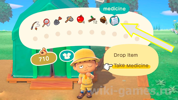 animal crosing invenrat 26