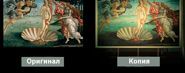 animal cross kartin 8