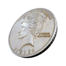 strange coin key item remnant from the ashes