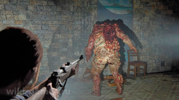 the last of us part toplik 2