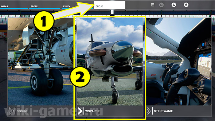 Microsoft Flight Simulator hard 1