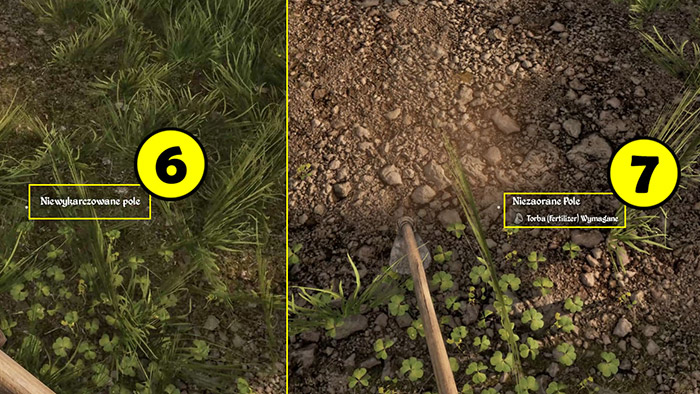 Medieval Dynasty zoloto 10