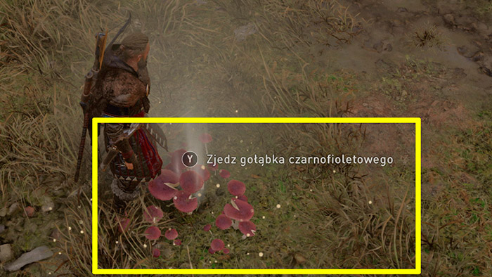 assassins creed valhalla ataka b 12