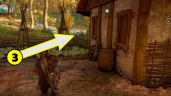 assassins creed valhalla winchell 8