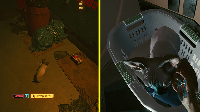cyberpunk 2077 cats why 7