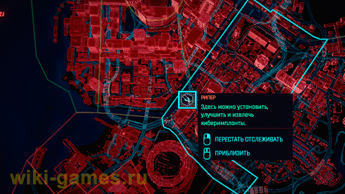 cyberpunk 2077 riper 10