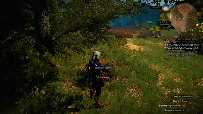 Ведьмак 3 Дикая охота собирательство трав