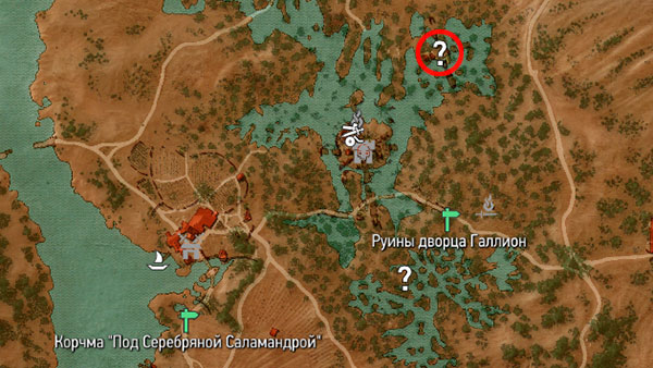 Ведьмак 3 - место силы знака Ирден